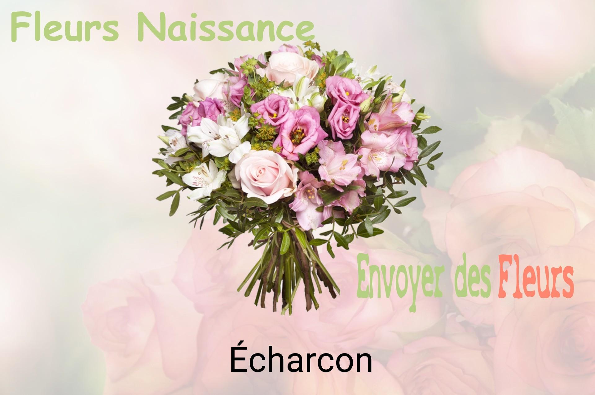 Bouquet de fleurs de naissance livré à Écharcon